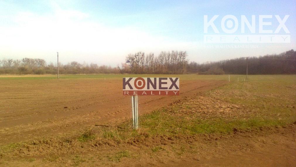 Stavebný pozemok na stavbu poľnohospodárskej alebo priemyselnej budovy – Leles