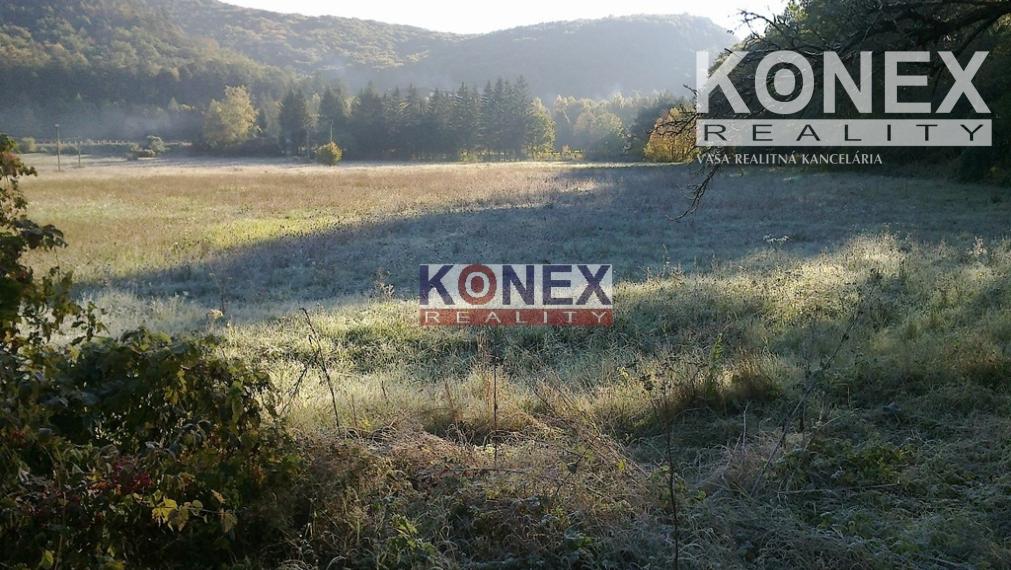 Pozemky v obci Ptičie, 3 km od Humenného.