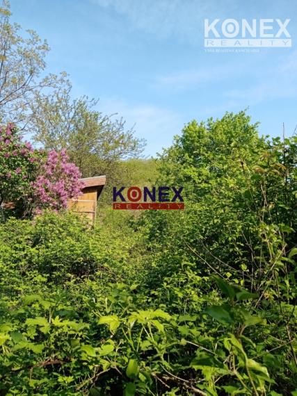 SUPER PONUKA! Na predaj vinica nad obcou Trnava pri Laborci