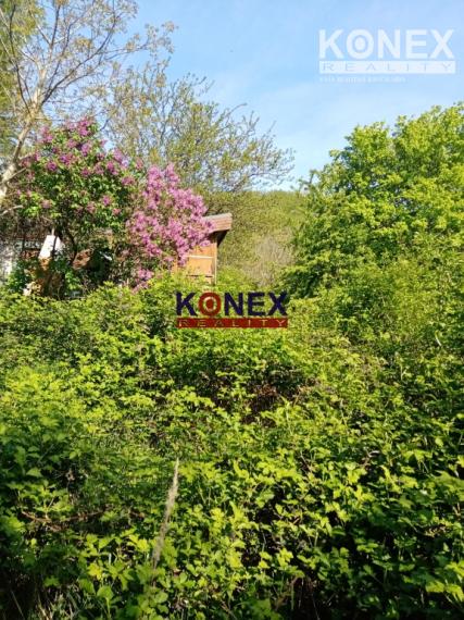 SUPER PONUKA! Na predaj vinica nad obcou Trnava pri Laborci