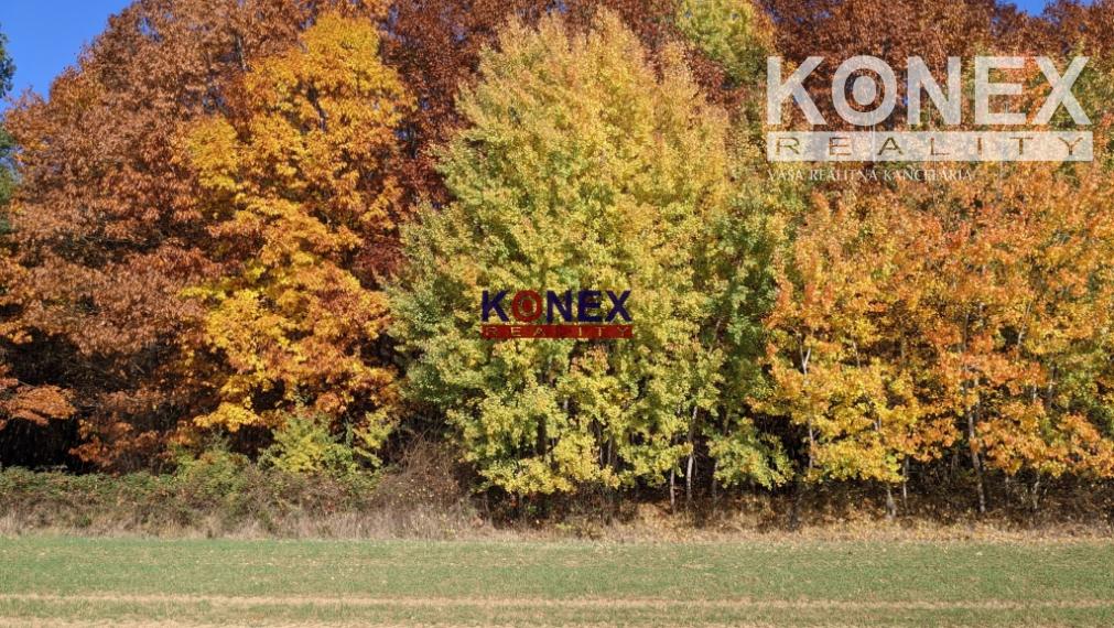 NA PREDAJ! Jesenné pozemky v okrese Poltár