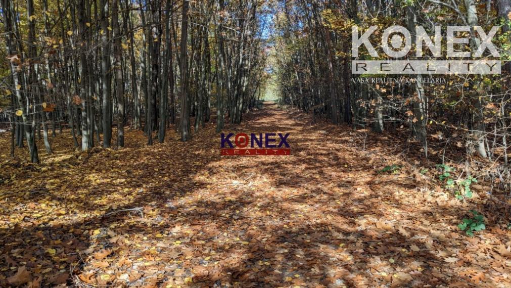 NA PREDAJ! Jesenné pozemky v okrese Poltár