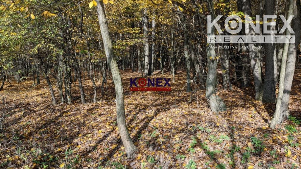 NA PREDAJ! Jesenné pozemky v okrese Poltár