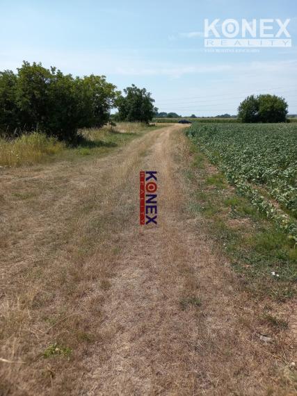 Na predaj pozemok na výstavbu rodinného domu v Michalovciach