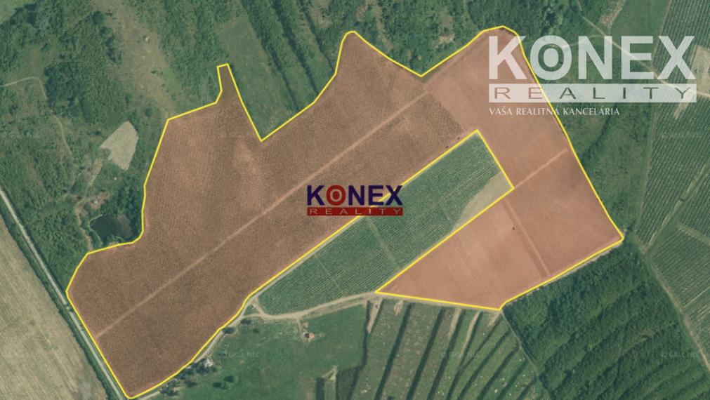 Jedinečná investícia! KRÁSNY VINOHRAD VO VINOHRADNÍCKEJ OBLASTI TOKAJ