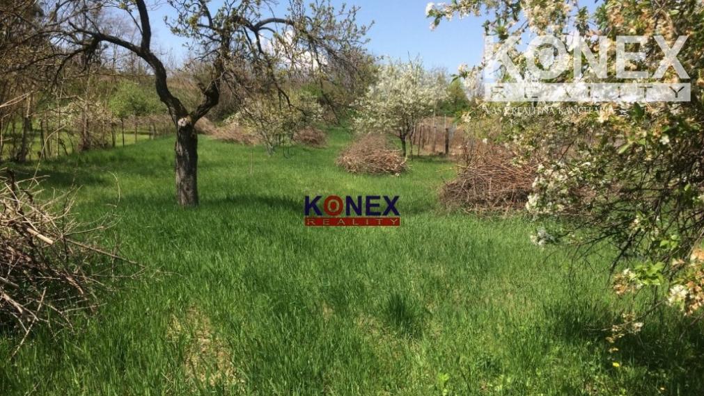 NA PREDAJ – Veľký stavebný pozemok v obci Somotor