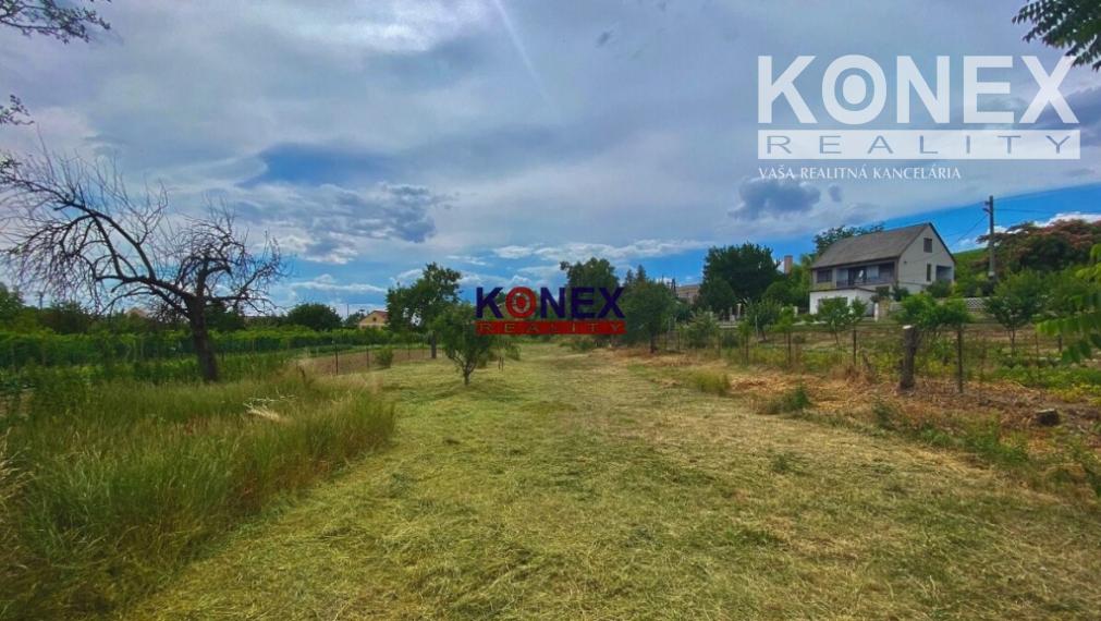 Gazdovský rodinný dom v obci Viničky – NA PREDAJ