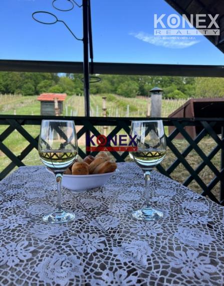 Vínny domček s krásnou vinicou – obec Viničky