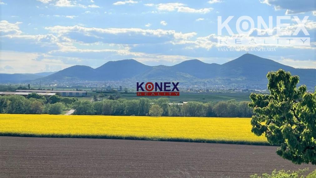 Vínny domček s krásnou vinicou – obec Viničky