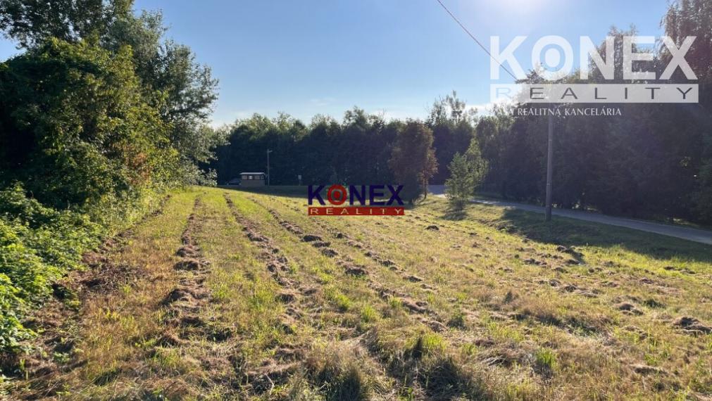 SUPER SKVELÁ PONUKA – Pozemok v obci Ptrukša pri Veľkých Kapušanoch