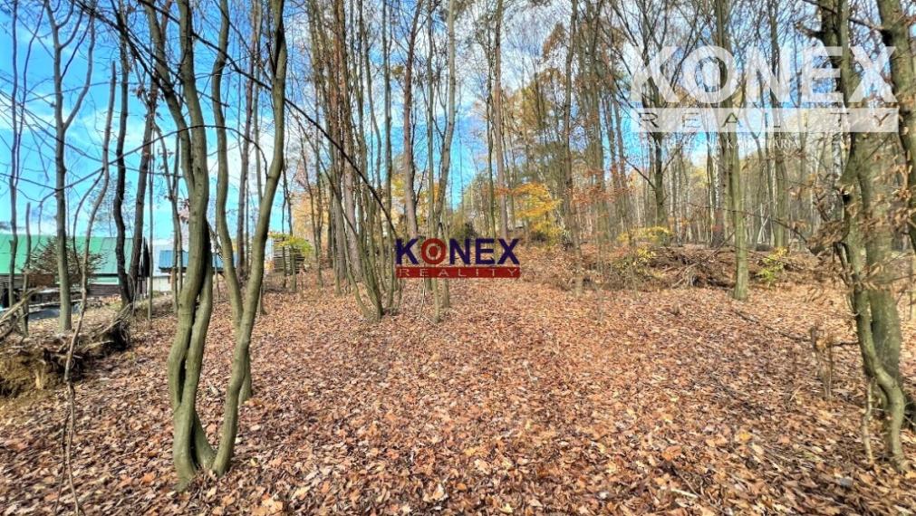 NA PREDAJ Pozemok na Domaši, Nová Kelča