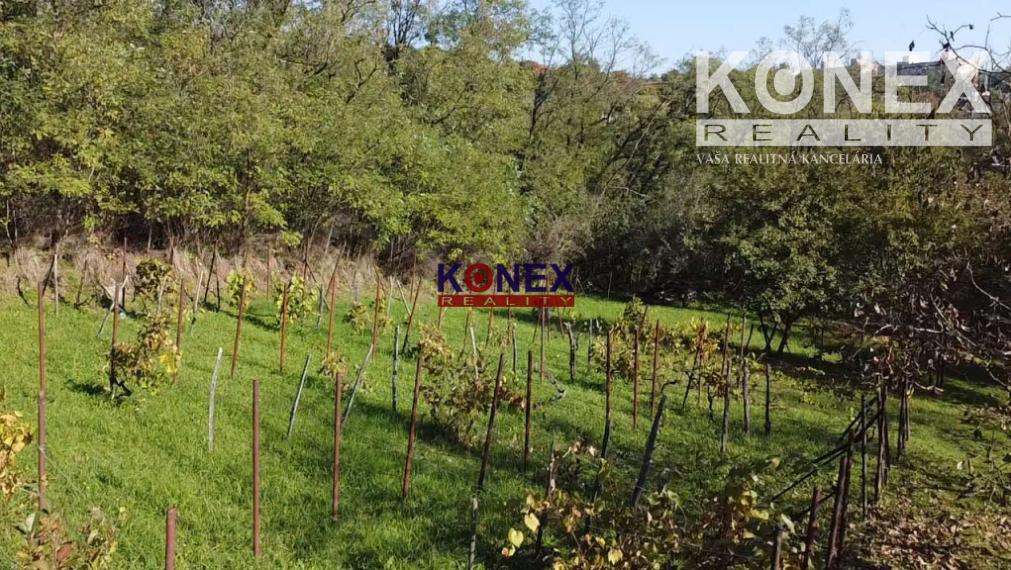 NOVINKA – Rekreačná záhrada v Kráľovskom Chlmci