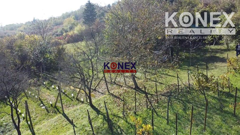 NOVINKA – Rekreačná záhrada v Kráľovskom Chlmci