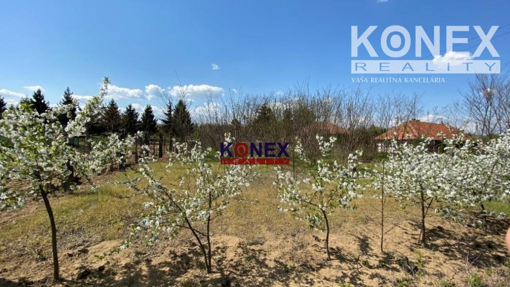 Gazdovský dom neďaleko mesta Sárospatak, Maďarsko