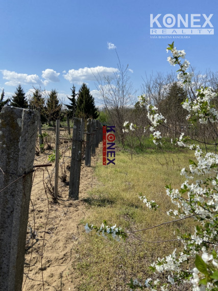 Gazdovský dom neďaleko mesta Sárospatak, Maďarsko