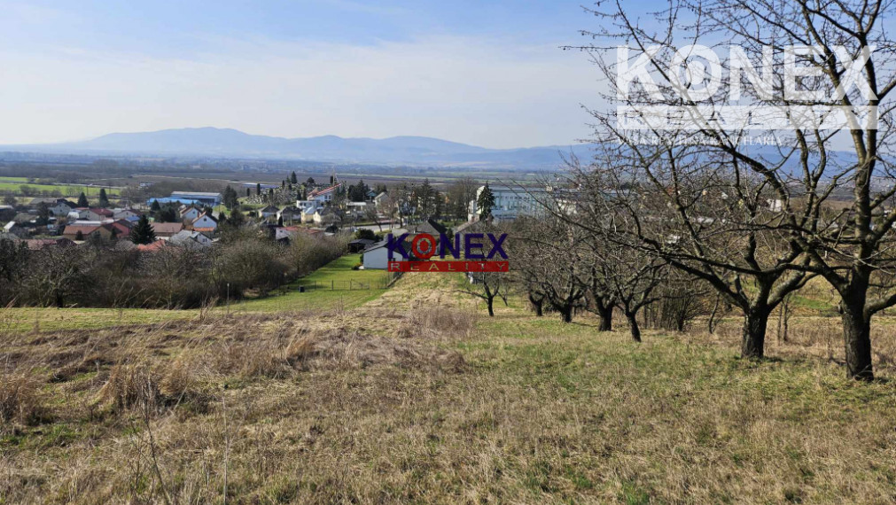 Poschodový dom s krásnym pozemkom (48 a) vo Vranove nad Topľou