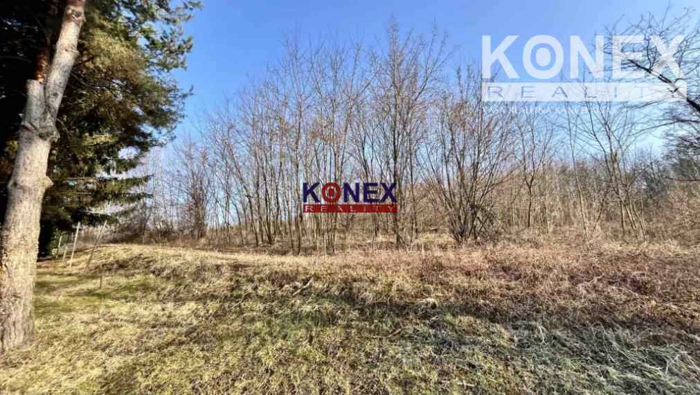 Rozľahlý pozemok (4846 m²) v intraviláne VRANOVA N/TOPĽOU