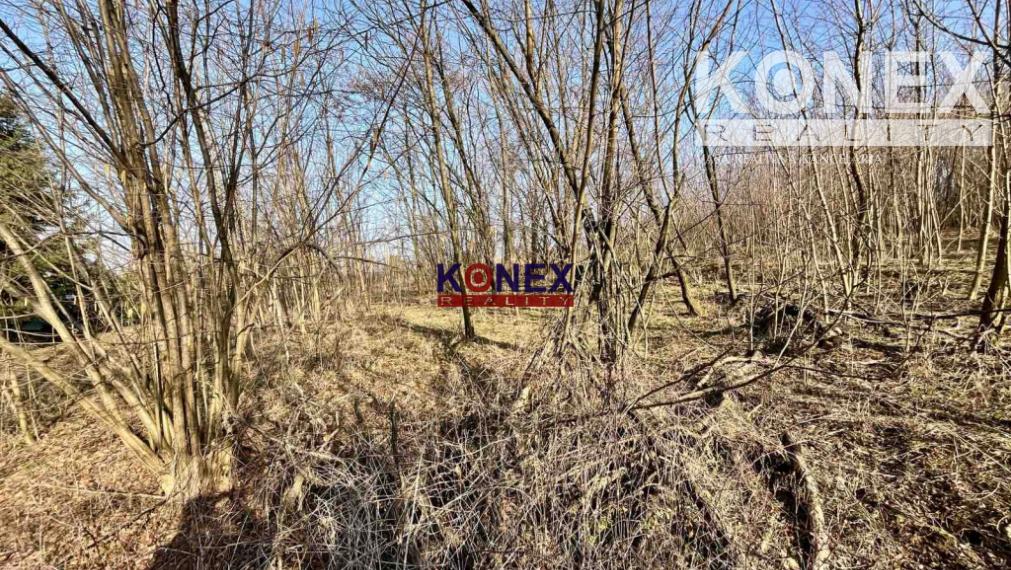 Rozľahlý pozemok (4846 m²) v intraviláne VRANOVA N/TOPĽOU