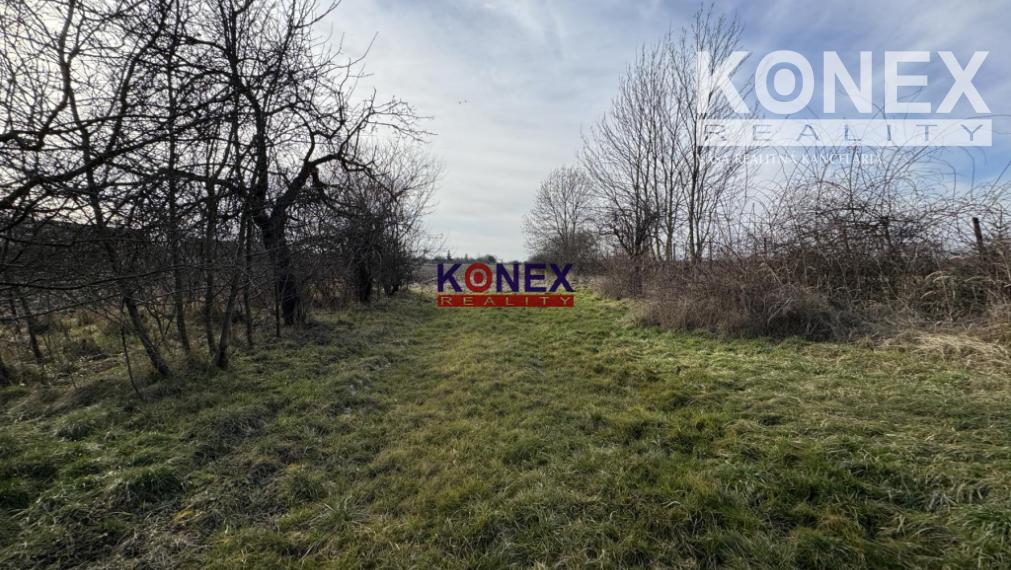 VÝHODNÁ PONUKA – CHATA s pozemkom v obci IŇAČOVCE