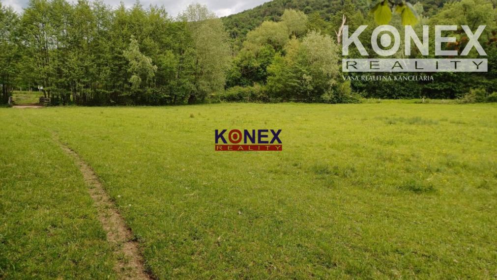 Na predaj rozľahlý pozemok PTIČIE – blízko Humenného