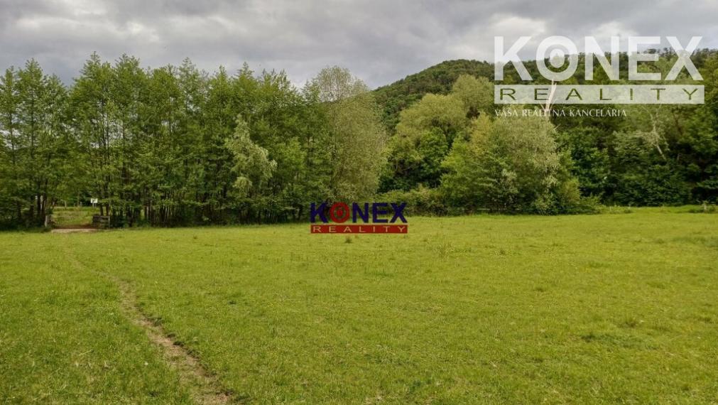 Na predaj rozľahlý pozemok PTIČIE – blízko Humenného