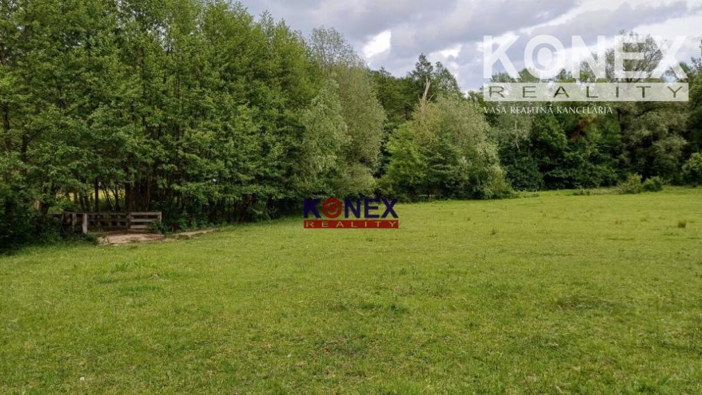 Na predaj rozľahlý pozemok PTIČIE – blízko Humenného