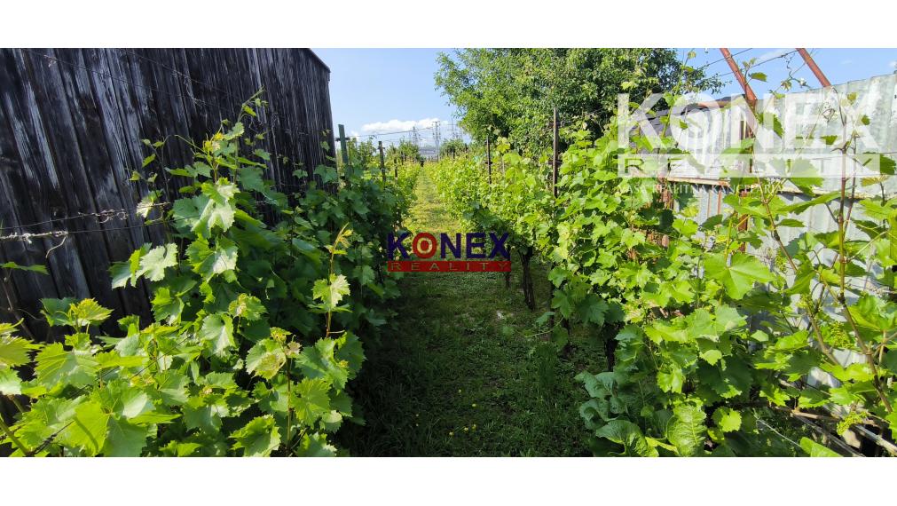 ZĽAVA! Rodinný dom v obci BORŠA – NA PREDAJ