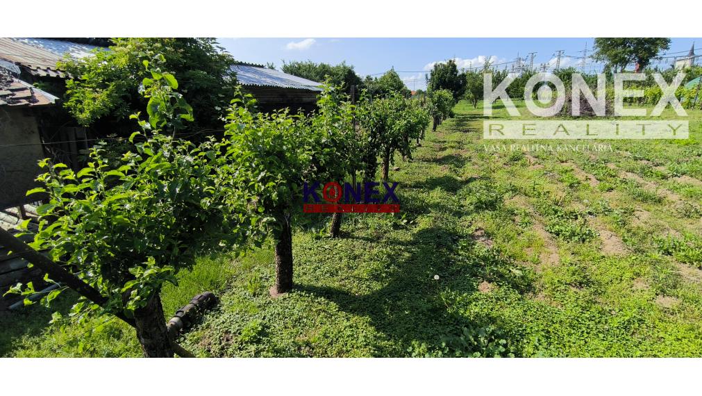 ZĽAVA! Rodinný dom v obci BORŠA – NA PREDAJ