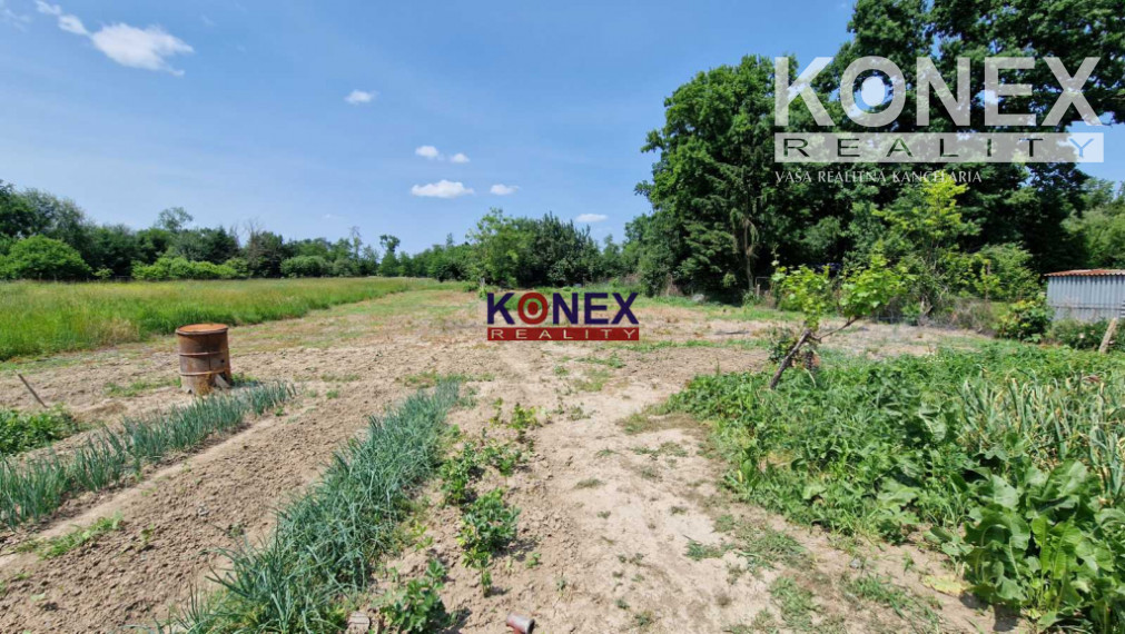 INVESTIČNÁ PRÍLEŽITOSŤ – RD a rozľahlý pozemok, Michalovce