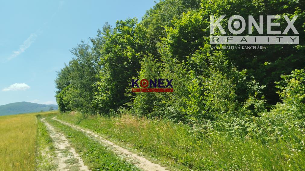 POĽNOHOSPODÁRSKE POZEMKY k. ú. Zemplínske Hámre