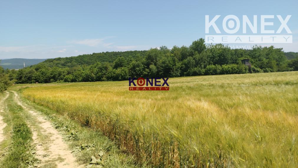 POĽNOHOSPODÁRSKE POZEMKY k. ú. Zemplínske Hámre