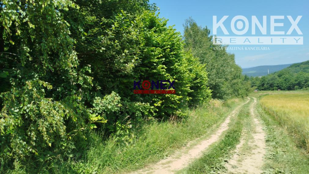 POĽNOHOSPODÁRSKE POZEMKY k. ú. Zemplínske Hámre