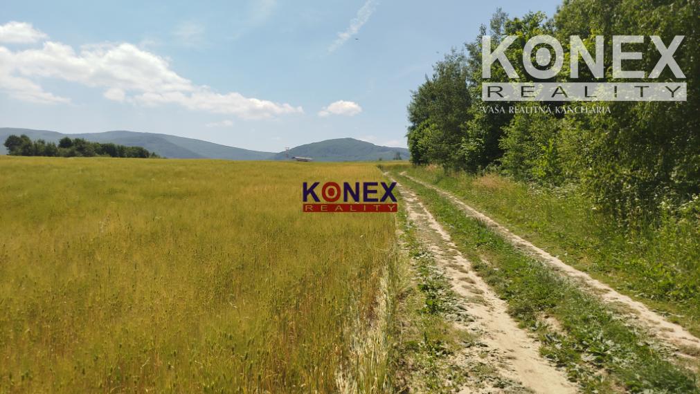 POĽNOHOSPODÁRSKE POZEMKY k. ú. Zemplínske Hámre