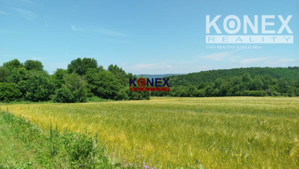 POĽNOHOSPODÁRSKE POZEMKY k. ú. Zemplínske Hámre