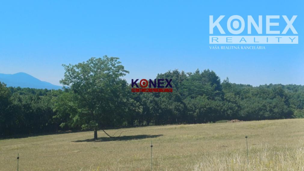 NA PREDAJ - Poľnohospodárske a lesné pozemky Vranov nad Topľou