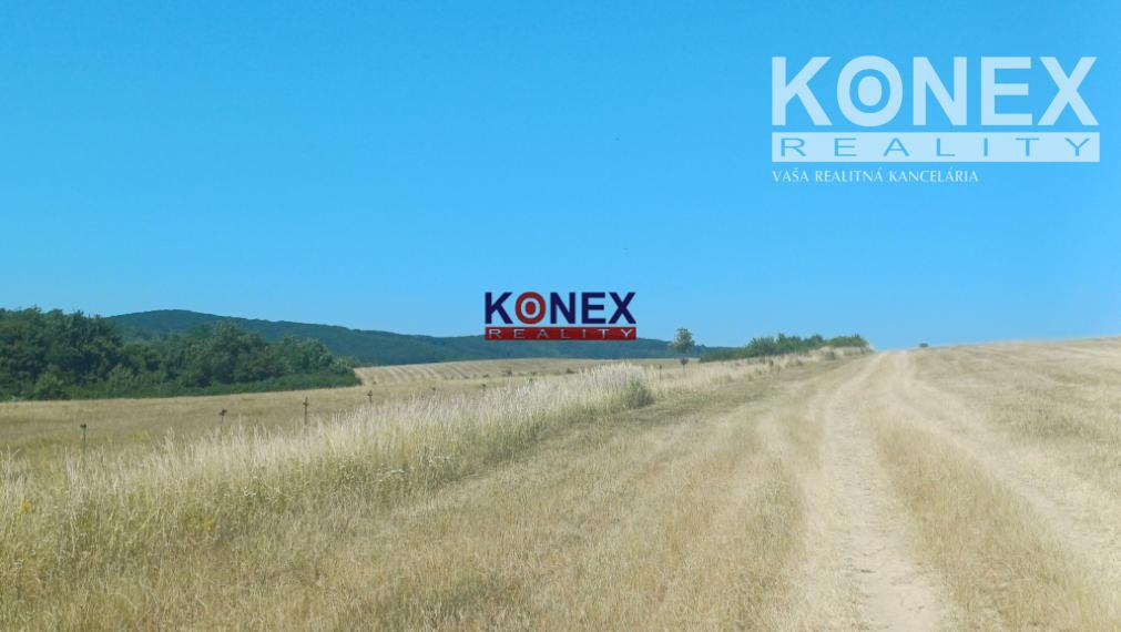 NA PREDAJ - Poľnohospodárske a lesné pozemky Vranov nad Topľou