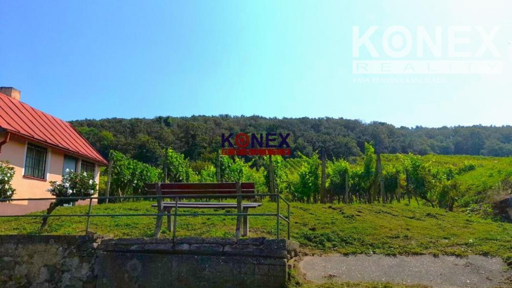 SUPER PONUKA! Krásny vinohrad s murovanou chatou