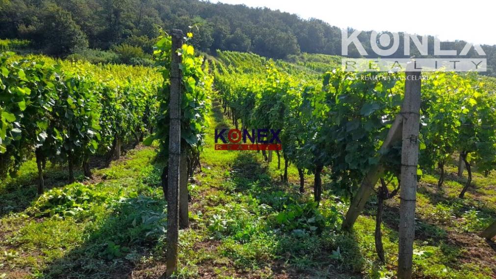 SUPER PONUKA! Krásny vinohrad s murovanou chatou