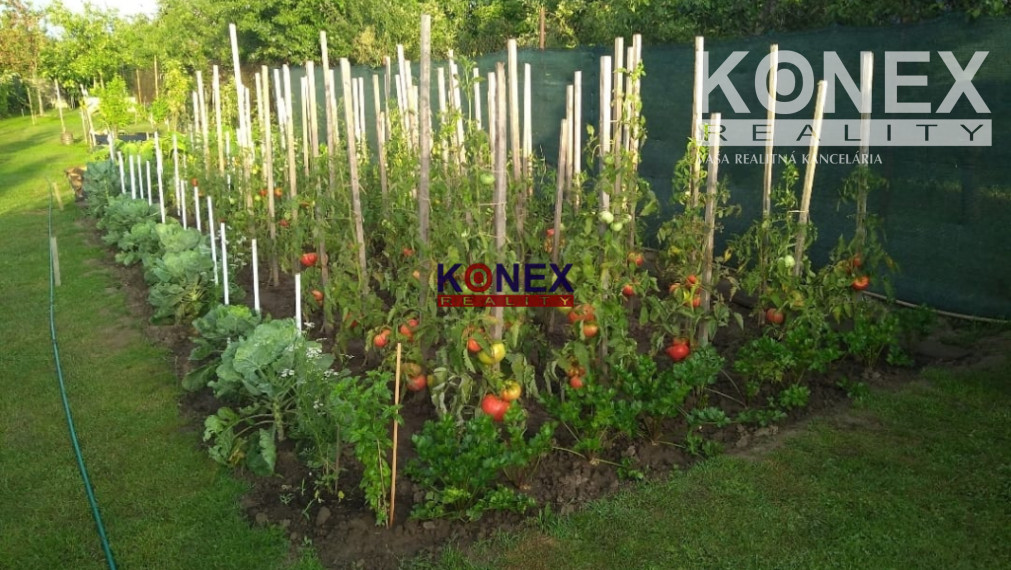 ID-2654 NA PREDAJ! Rodinný dom TRNAVA PRI LABORCI