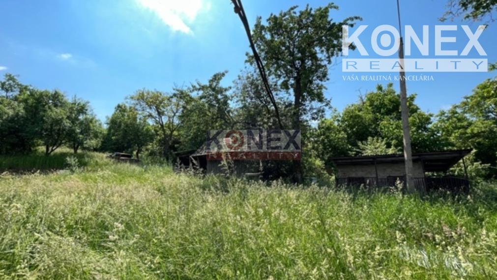 Rodinný dom / chalupa v obci Petrovce, okr. Sobrance