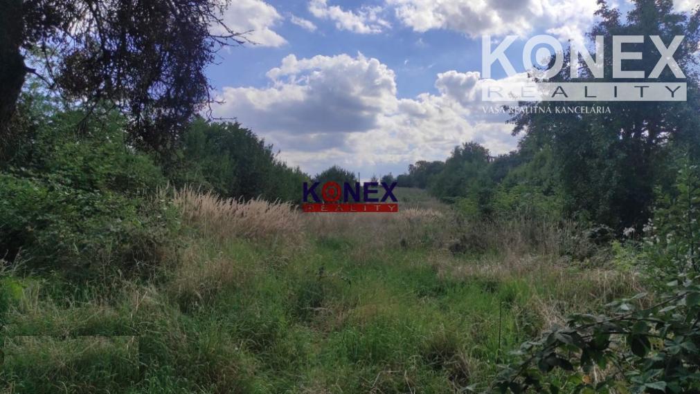 NA PREDAJ! Dom s rozľahlým pozemkom - Veľaty