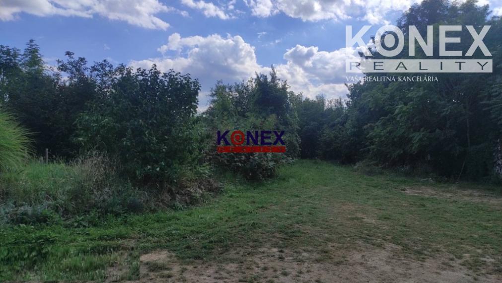 NA PREDAJ! Dom s rozľahlým pozemkom - Veľaty