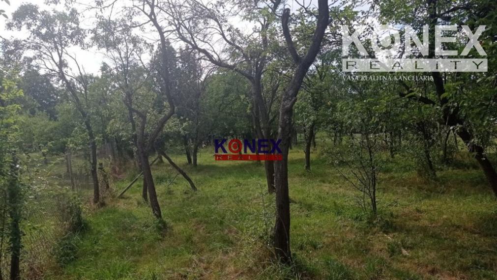 🌿 Na predaj záhrada pri Zemplínskej Šírave – Klokočov