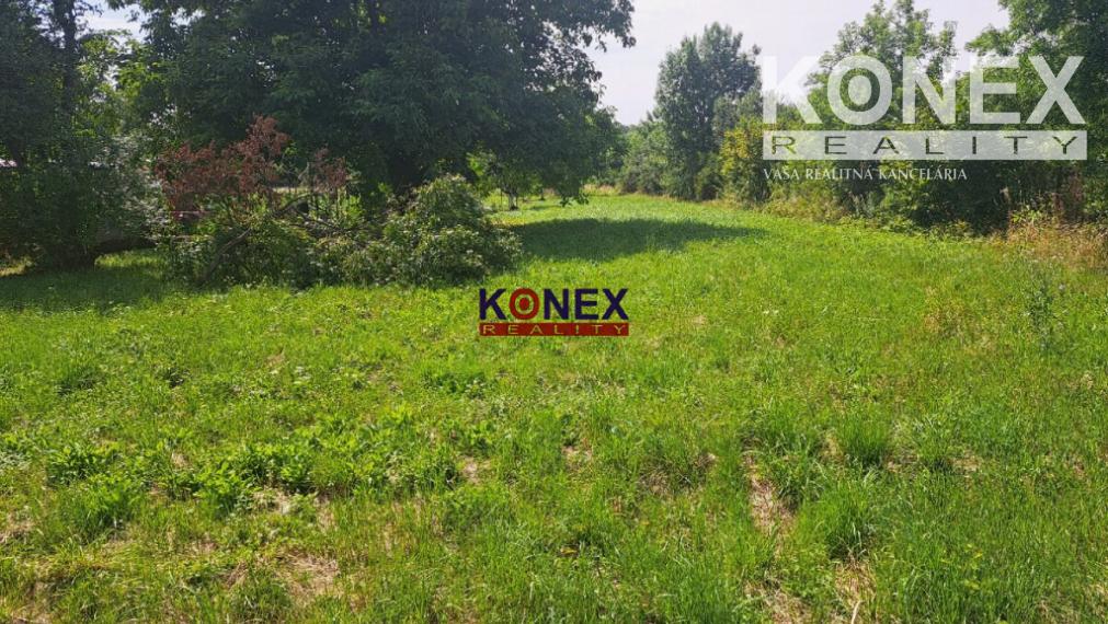 NA PREDAJ Poschodový rodinný dom ZBUDZA