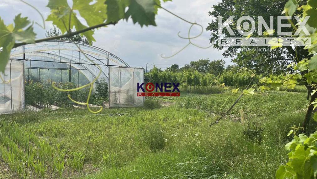 PREDAJ RODINNÉHO DOMU V OBCI BORŠA