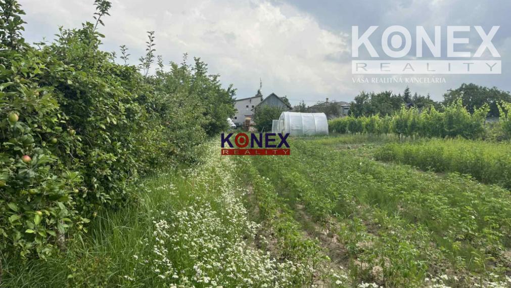 PREDAJ RODINNÉHO DOMU V OBCI BORŠA