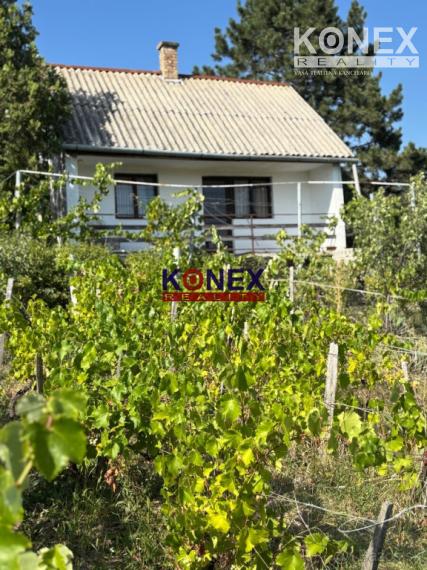 CHATA S VINICOU – Maďarsko - Sátoraljaújhely