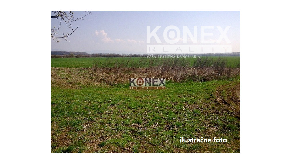 ID-3114 NA PREDAJ ORNÁ PÔDA – K. Ú. BARDEJOV