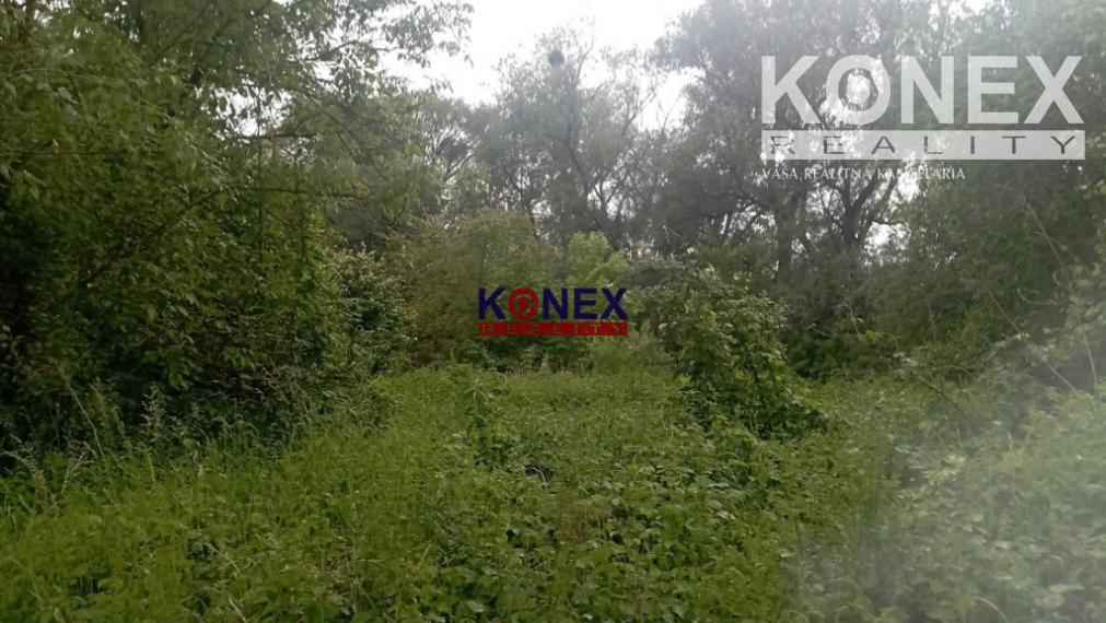 ID 3144 Rekreačný POZEMOK na predaj – Nižná Hutka