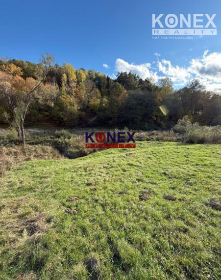 ID-3167 POZEMOK na REKREÁCIU pri BARDEJOVE